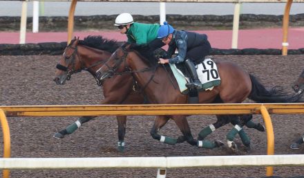 【宝塚記念】ベラジオオペラＧＩ連勝へ好調ＣＷコースで３頭併せ　上村師「今のところ暑さも問題ない」