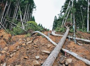 【本紙記者ルポ　富山県東部豪雨１年の立山町】山肌崩壊、土石流の爪痕　林道復旧手つかず