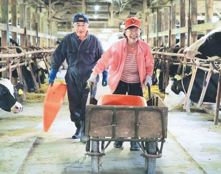 〝最後の牛〟に愛情込めて　能登地震5カ月、廃業決めた酪農家