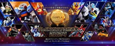 上位は再販の可能性もある「プレバンガンプラ総選挙2024」中間結果発表！「RG デスティニーインパルス」らSEED系が強し、そして“ズゴック”も