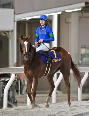 【東京ダービー】紅一点アンモシエラが粘りみせ３着　松永幹師「牡馬相手によく頑張ってくれている」