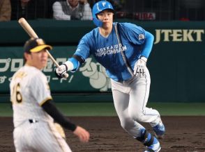 日本ハム移籍でもう6勝「バットを持つと輝き増す」山崎福也…オリックス時代の“相棒”が語る「サチさんの素顔」「由伸、宮城へ秘めた思い」