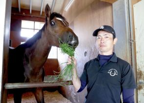 東京ダービー制覇から一夜明け　ラムジェットは馬房でうとうと　陣営「４角で、これヤバいんじゃないかと思って…」