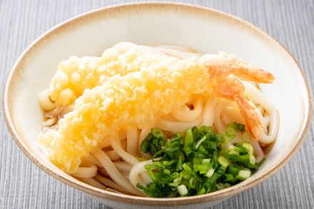 「岡山県で人気のうどん」ランキング！　2位は倉敷市にある「瀬戸内おろしレモンうどん」が人気の「手打ちうどん おおにし」、1位は？【2024年6月版】