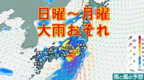 関東、近畿、東海など大雨おそれ　日曜に梅雨前線上の低気圧が東へ　雨シミュレーション9日（日）～10日（月）