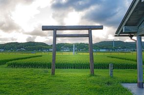 まるで古代の農村風景。伊勢神宮の境内を歩きながら豊穣を願う