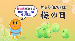 【きょうは“梅の日”】全国的に梅不足天候不順だけじゃない意外な理由とは?