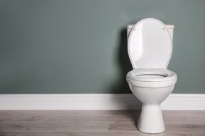 トイレの「大」と「小」1回あたりの水道代はそれぞれいくら？