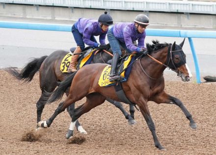 【宝塚記念2週前追い】ローシャムパーク　フォームは改善、田中博師「2週間で上昇させていきたい」