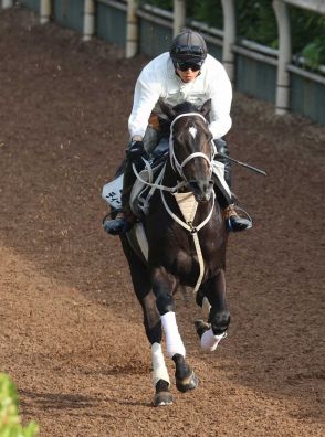 【宝塚記念2週前追い】ディープボンド　好調の兆しあり、陣営「馬が行く気になっている」