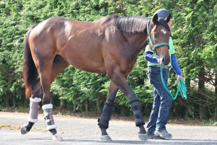 【今週の注目新馬】将来性十分のエピファネイア産駒スカイブルーが初陣　レイヤードレッドが父フィエールマンの出世頭へ