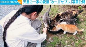 天皇ご一家の愛猫「セブン」「みー」を公開 宮内庁