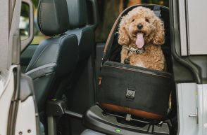 高級ペット用品ブランド「TAVO」からチャイルドシート安全基準のペット用カーシートが登場！