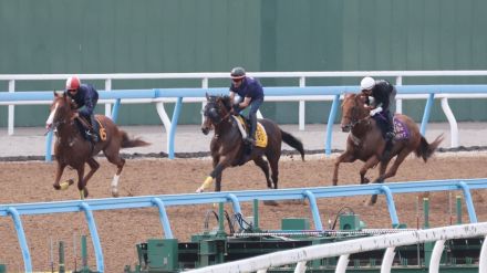 【サンスポ賞さきたま杯】初の浦和に向けてレモンポップがＷコースで３頭併せ