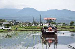 水田に苗 青々と　宮崎・えびの、田植え本格化