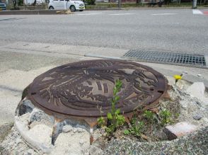 地震で浮き出たマンホールから花が　6カ月目、傷痕残る石川・輪島