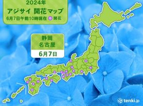 静岡と名古屋で「平年より早く」アジサイ開花　でも梅雨入りは「平年より遅い」