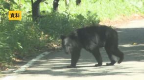 【クマ出没情報】路上にいるクマ　伊達市保原町　7日午前1時半すぎ　福島