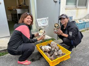 伊平屋漁協で初の女性組合員　貝20キロを初出荷　姉妹で活躍「おいしい海産物を届けたい」　沖縄