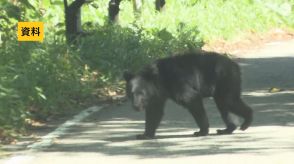 【クマ出没情報】国道の監視カメラにクマの姿が　福島市飯坂町　7日午前9時すぎ　福島