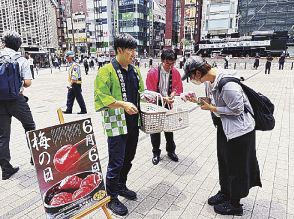 東京、京都で梅干し配布や青梅奉納　「梅の日」で関係団体