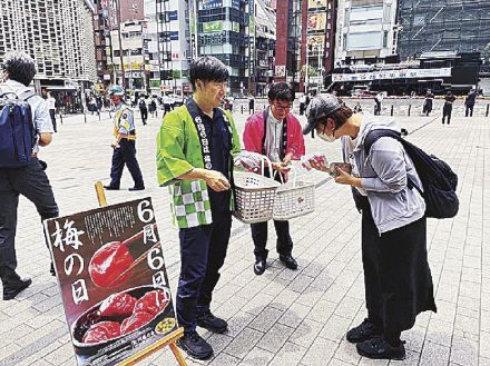 東京、京都で梅干し配布や青梅奉納　「梅の日」で関係団体