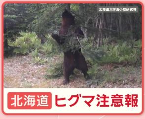 北海道でヒグマ注意報　各地でクマ目撃多数
