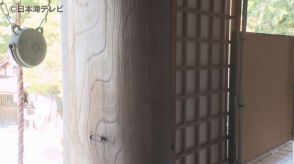 「犯人捜し的なことはもうせんで穏やかな気持ちで」　国の登録有形文化財に指定されている摩尼寺本堂の柱に落書き…　監視カメラの設置も検討　鳥取県鳥取市