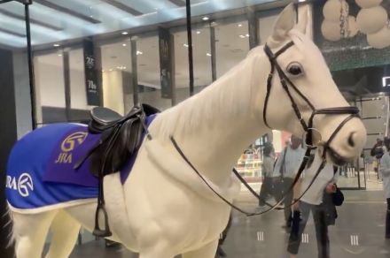 東京駅大丸に“美しすぎる馬”がいたので「この子おとなしいですね！」と撮影していたら… →スタッフに言われた一言が衝撃的すぎた