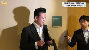 群馬県の副知事再任案めぐり　自民党県連が安孫子議員・川野辺議員を処分