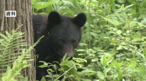 クマに腕かまれる　トレイルランニング練習中　静岡の48歳男性が軽傷　山林内から突然…クマは体長約90cm　発見には至らず