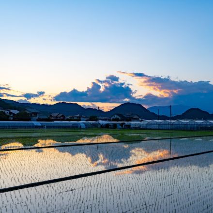 「夢をかなえるためになぜ私は全力を尽くさなかった」終末患者に聞いた「人生の後悔」5選「ふるさとに帰ればよかった…」