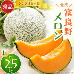 返礼品にメロン選んだ自治体、北海道が9年連続最多　果物が人気