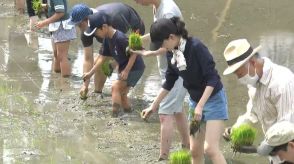 全国新酒鑑評会で老舗の酒蔵・利守酒造の新酒が金賞を受賞　記念の田植祭　昔ながらの手植えで雄町米を【岡山】