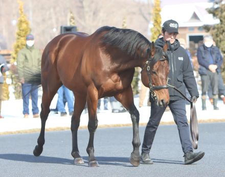 ナダルだ！タワーオブロンドンだ！ウインブライトだ！新種牡馬の産駒が上位独占／新馬戦