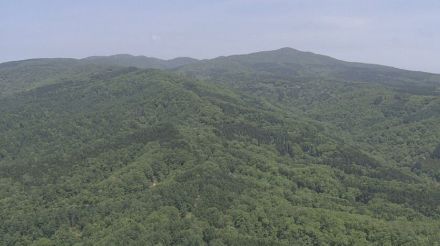 北海道赤平市の山中　タケノコ採り中に行方不明になった７９歳男性　無事救助　けがなし