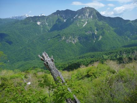 戸隠連峰・五地蔵山で遭難　名古屋市の73歳男性が死亡　前日「何かが落ちた」と複数の登山者から通報　登山道から約70ｍ下の斜面で発見