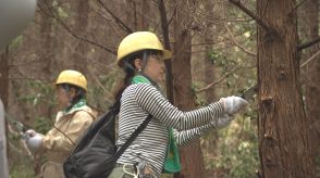 豊かな森林づくりにむけて 日本生命職員と家族が育樹活動 大分