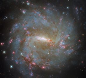 正面から見た“りゅうこつ座”の棒渦巻銀河「NGC 3059」　ハッブル宇宙望遠鏡が撮影