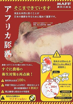 韓国で続発「アフリカ豚熱」侵入リスク高まる　九州で防疫演習、啓発強化も