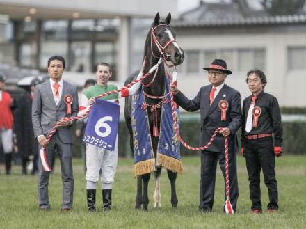 19年の年度代表馬 リスグラシューの「全弟」と「仔」がワンツーフィニッシュ/京都6R