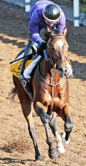 【エプソムＣ】さすがのルメール騎手でレーベンスティール完勝　初コンビで鮮やか重賞２勝目