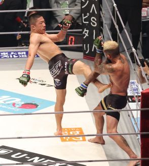 堀口恭司はＵＦＣなら「チャンピオンまで上り詰める可能性はある」敗戦のセルジオ・ペティスが言及