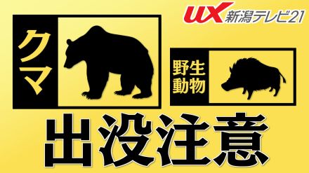 ゲレンデでも　スキー場付近でクマ出没相次ぐ【新潟】