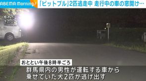 走行中の車の窓を開け「ピットブル」2匹が逃走 警察は見回りを強化 栃木市