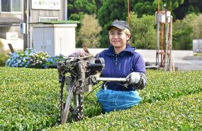 「このまま日本で働いて、子育てもしたい」…お茶に魅せられたベトナム女性、家族と永住可能な「特定技能2号」に一発合格