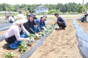 地域おこし協力隊〝お試しツアー〟　農業体験と住民との交流で町の良さ知って　茨城・城里