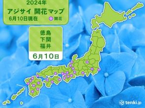 徳島・下関・福井で平年より早くアジサイ開花　梅雨入りは遅いがアジサイは早い?