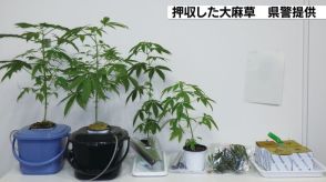 富山市の男2人　大麻草栽培疑いで逮捕
