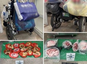 マカオ、電動車椅子利用して生鮮食材の密輸入図った事案相次ぎ摘発…高齢者が運び屋に従事